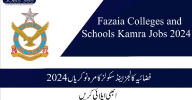 Fazaia Colleges and Schools Kamra Jobs 2024