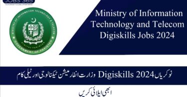 Ministry of Information Technology and Telecom Digiskills Jobs 2024