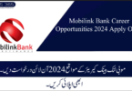 Mobilink Bank Career Opportunities 2024 Apply Online