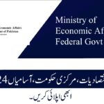 Ministry of Economic Affairs Federal Govt Jobs 2024